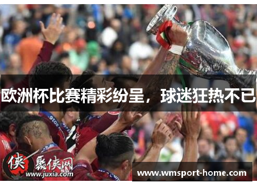 欧洲杯比赛精彩纷呈，球迷狂热不已